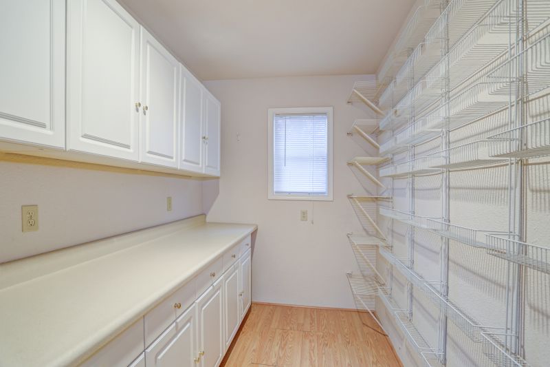 Organized Pantry Cabinets